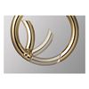 Immagine di GM Circle Karabiner