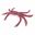 Immagine di Octopus