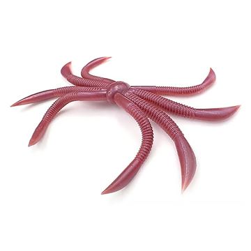 Immagine di Octopus