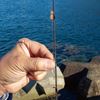 Immagine di Brush Threader