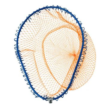 Immagine di Fine Frame M Blue